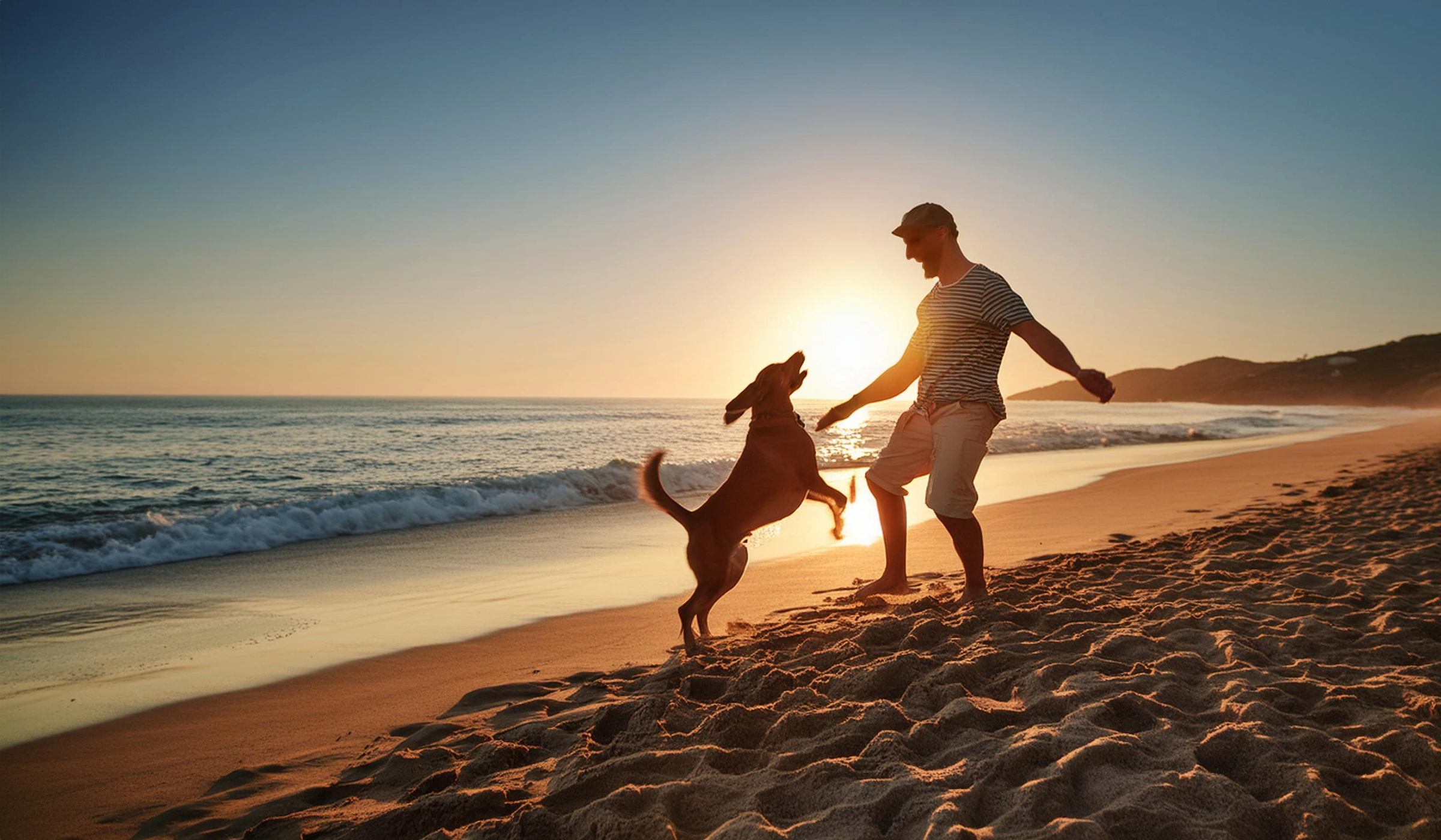 hund-spielt-im-urlaub-am-strand-im-familienurlaub